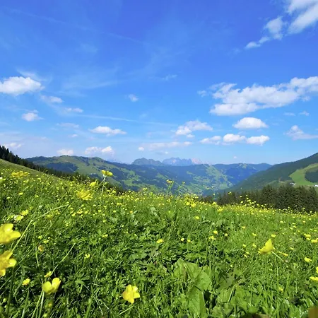Dağ evi In Hinterglemm *
